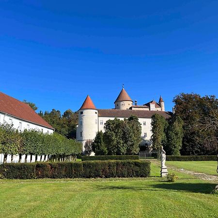 Villa Charming Castle In Austria Schwertberg Exterior foto