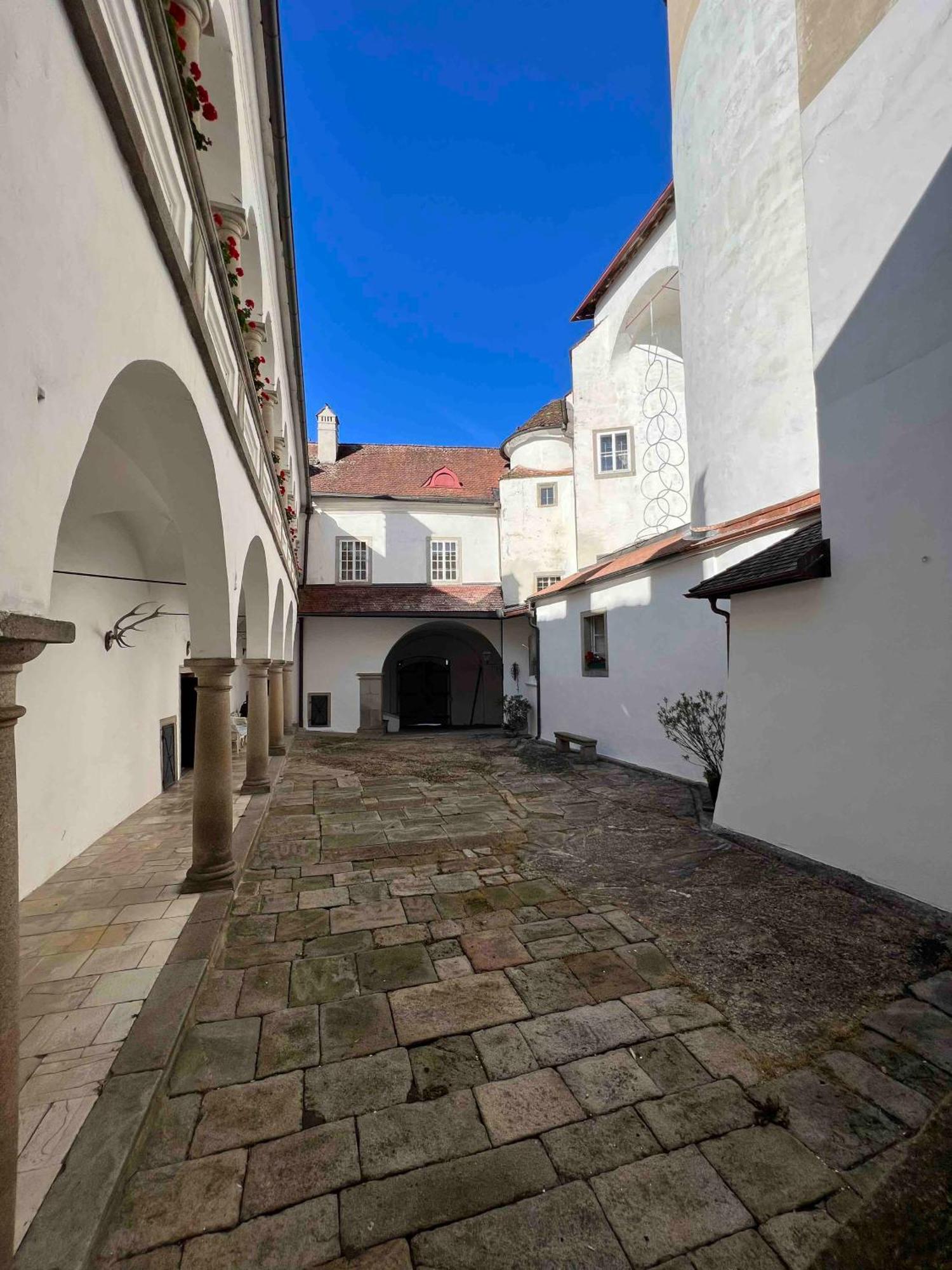 Villa Charming Castle In Austria Schwertberg Exterior foto